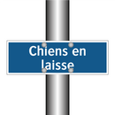 Chiens en laisse