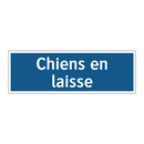 Chiens en laisse