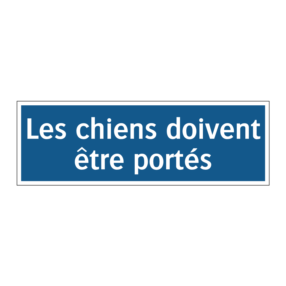 Les chiens doivent être portés