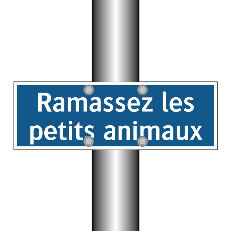 Ramassez les petits animaux