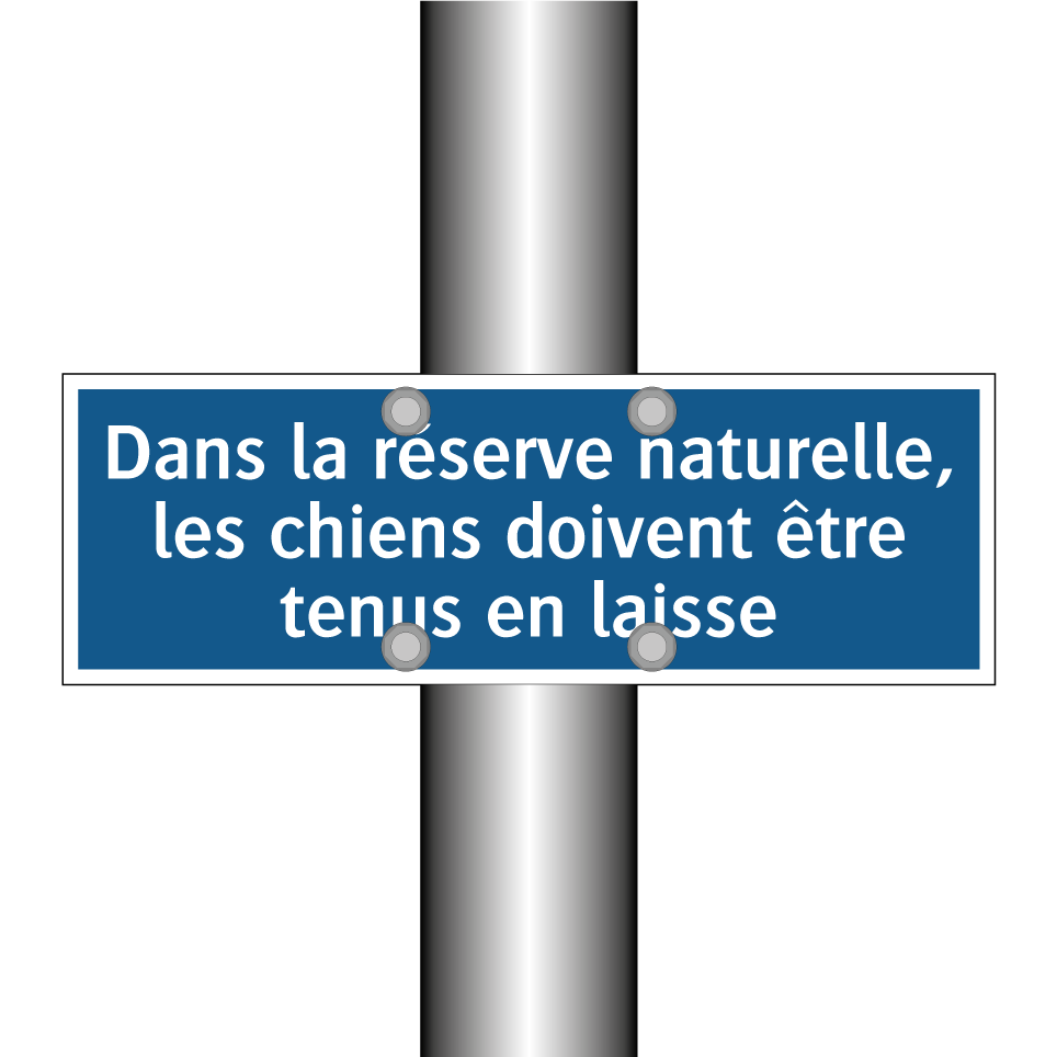 Dans la réserve naturelle, les chiens doivent être tenus en laisse