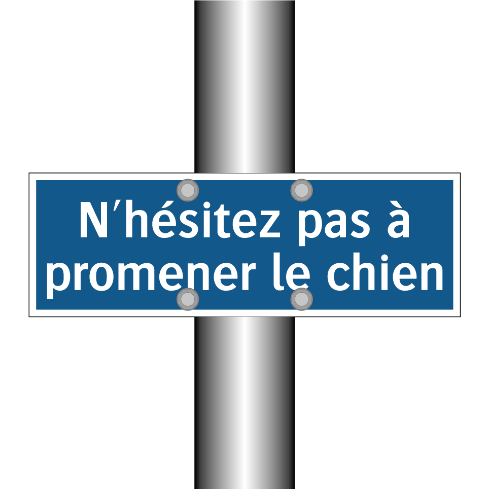 N'hésitez pas à promener le chien