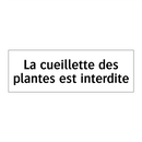 La cueillette des plantes est interdite