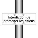 Interdiction de promener les chiens
