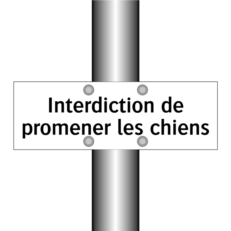 Interdiction de promener les chiens
