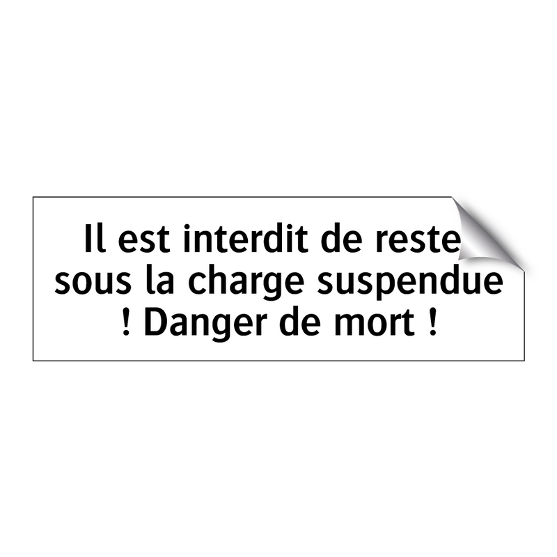 Il est interdit de rester sous la charge suspendue ! Danger de mort !