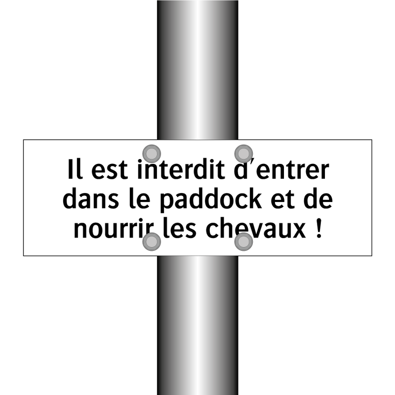 Il est interdit d'entrer dans le paddock et de nourrir les chevaux !