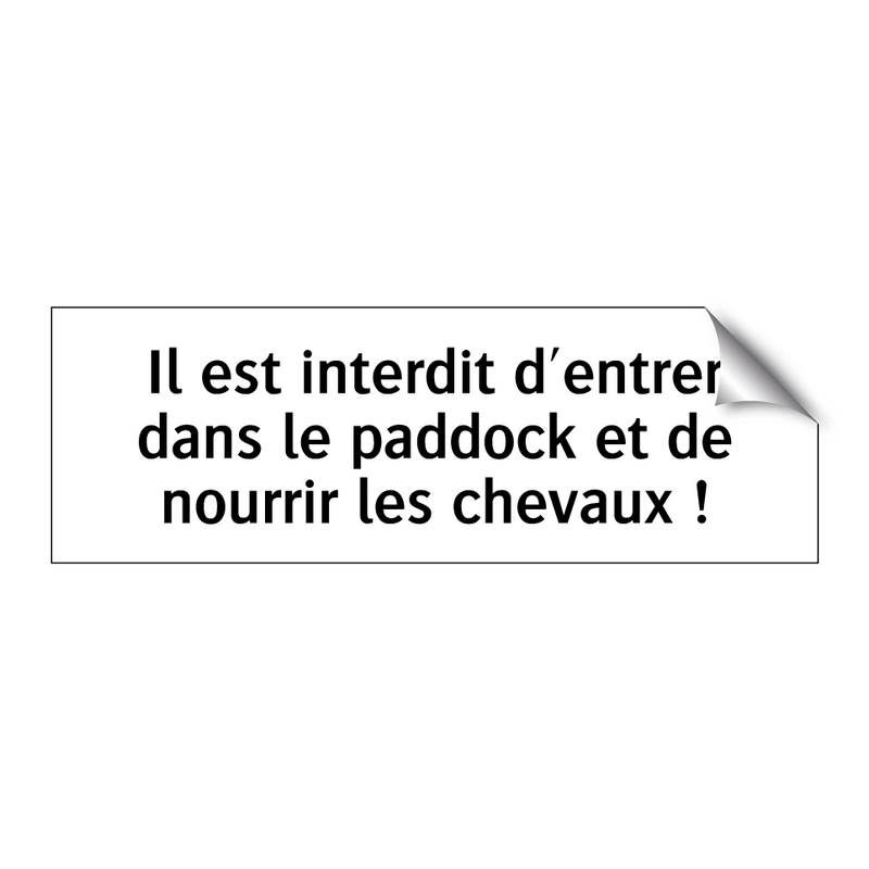 Il est interdit d'entrer dans le paddock et de nourrir les chevaux !