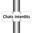 Chats interdits