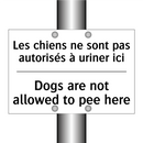 Les chiens ne sont pas autorisés  /.../ - Dogs are not allowed to pee here /.../