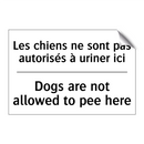 Les chiens ne sont pas autorisés  /.../ - Dogs are not allowed to pee here /.../