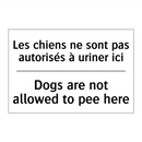 Les chiens ne sont pas autorisés  /.../ - Dogs are not allowed to pee here /.../