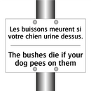 Les buissons meurent si votre  /.../ - The bushes die if your dog pees  /.../