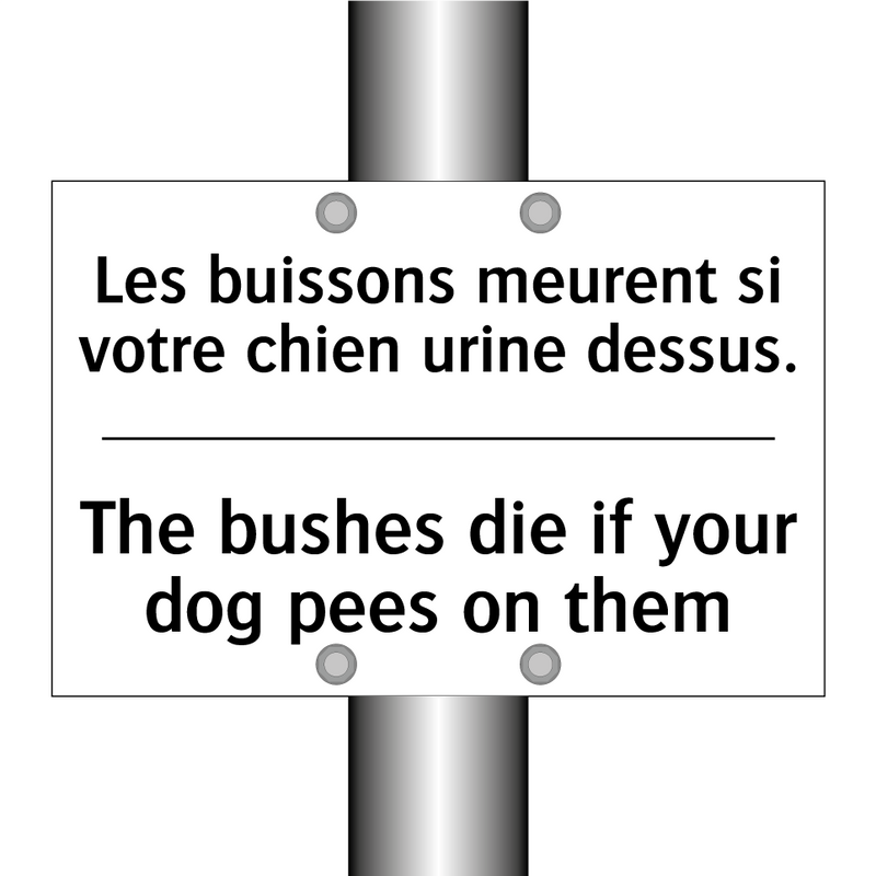 Les buissons meurent si votre  /.../ - The bushes die if your dog pees  /.../