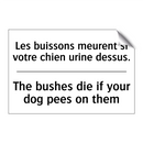 Les buissons meurent si votre  /.../ - The bushes die if your dog pees  /.../