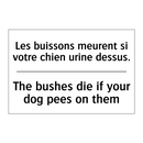 Les buissons meurent si votre  /.../ - The bushes die if your dog pees  /.../