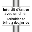 Interdit d'entrer avec un chien /.../ - Forbidden to bring a dog inside /.../