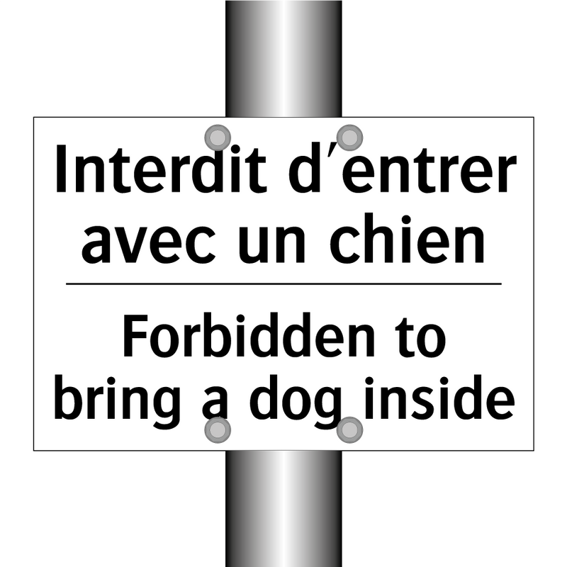 Interdit d'entrer avec un chien /.../ - Forbidden to bring a dog inside /.../