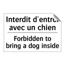 Interdit d'entrer avec un chien /.../ - Forbidden to bring a dog inside /.../