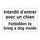 Interdit d'entrer avec un chien /.../ - Forbidden to bring a dog inside /.../