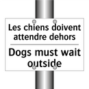 Les chiens doivent attendre dehors /.../ - Dogs must wait outside