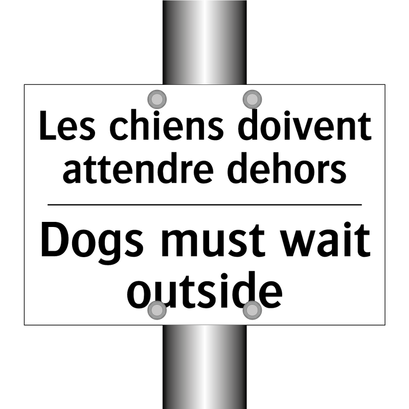 Les chiens doivent attendre dehors /.../ - Dogs must wait outside