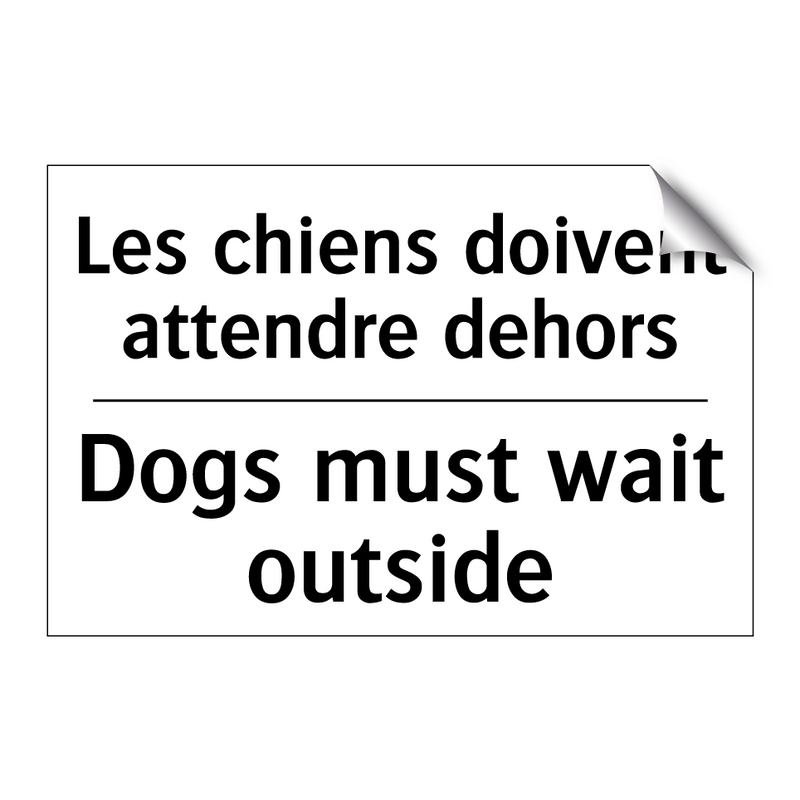 Les chiens doivent attendre dehors /.../ - Dogs must wait outside