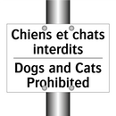 Chiens et chats interdits - Dogs and Cats Prohibited