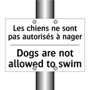 Les chiens ne sont pas autorisés  /.../ - Dogs are not allowed to swim