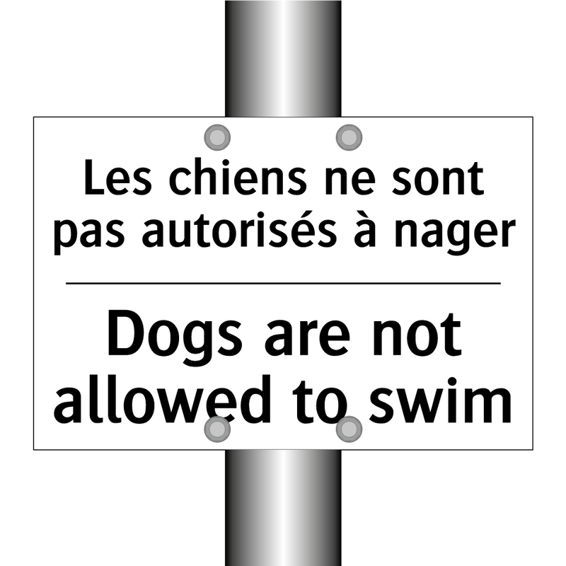 Les chiens ne sont pas autorisés  /.../ - Dogs are not allowed to swim