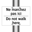 Ne marchez pas ici - Do not walk here