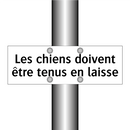 Les chiens doivent être tenus en laisse