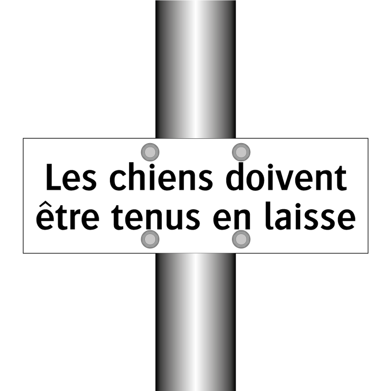 Les chiens doivent être tenus en laisse