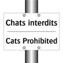 Chats interdits - Cats Prohibited