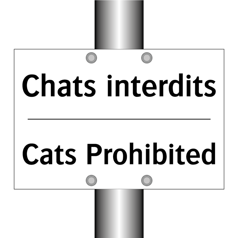 Chats interdits - Cats Prohibited