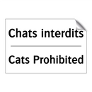 Chats interdits - Cats Prohibited