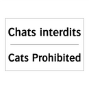 Chats interdits - Cats Prohibited