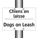 Chiens en laisse - Dogs on Leash