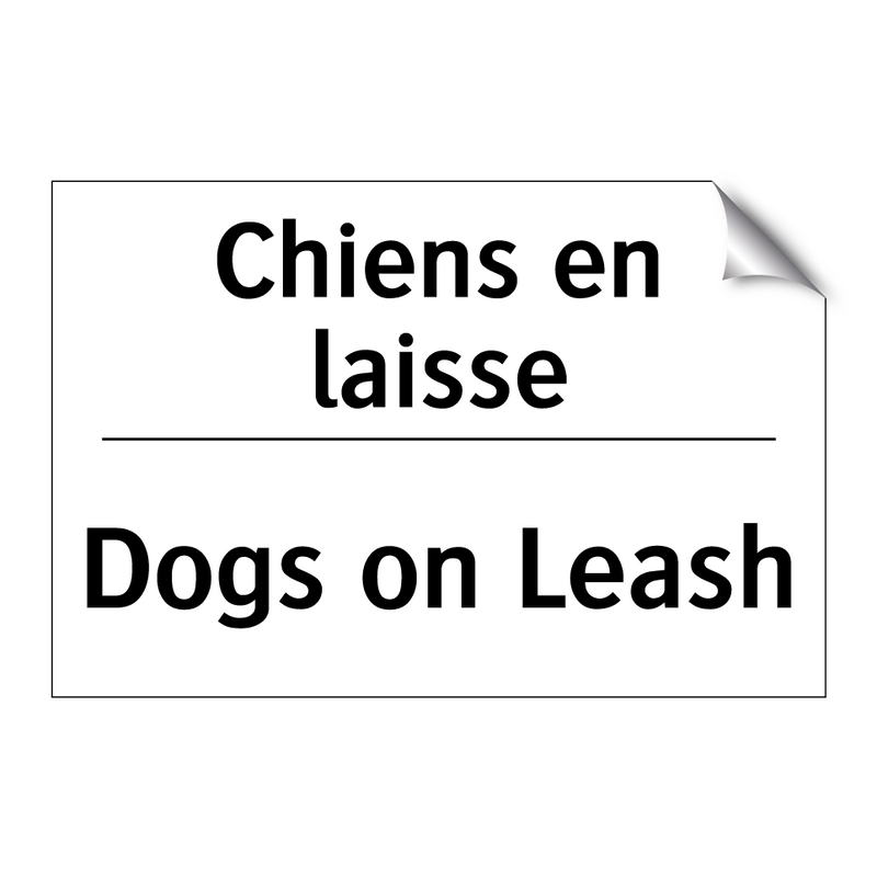 Chiens en laisse - Dogs on Leash