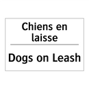 Chiens en laisse - Dogs on Leash
