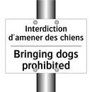 Interdiction d'amener des chiens /.../ - Bringing dogs prohibited
