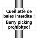 Cueillette de baies interdite  /.../ - Berry picking prohibited!