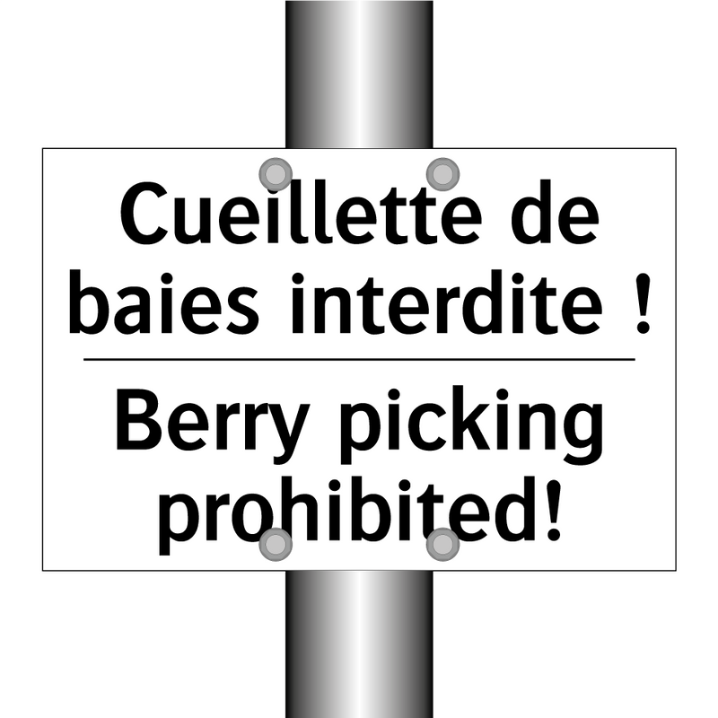Cueillette de baies interdite  /.../ - Berry picking prohibited!