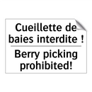Cueillette de baies interdite  /.../ - Berry picking prohibited!