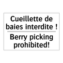 Cueillette de baies interdite  /.../ - Berry picking prohibited!