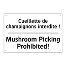 Cueillette de champignons interdite  /.../ - Mushroom Picking Prohibited!