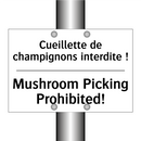 Cueillette de champignons interdite  /.../ - Mushroom Picking Prohibited!