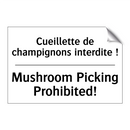 Cueillette de champignons interdite  /.../ - Mushroom Picking Prohibited!