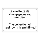 La cueillette des champignons  /.../ - The collection of mushrooms is  /.../