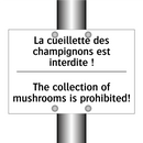 La cueillette des champignons  /.../ - The collection of mushrooms is  /.../